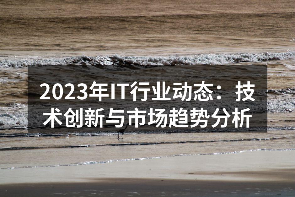 2023年IT行业动态分析图